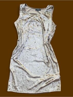 Boho Glam Light Brown Velvet R&M Richards Dress